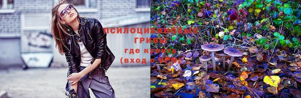 крисы Богданович