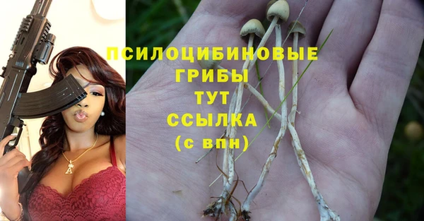 крисы Богданович