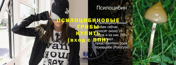 крисы Богданович