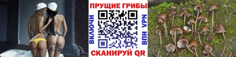 Псилоцибиновые грибы Magic Shrooms  Купить  Лесосибирск 